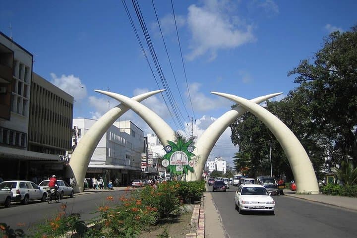 Full-Day Private Mombasa Excursion: Fort Jesus, Old Town & Haller Park photo 4
