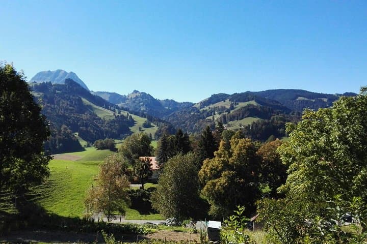 Winter Day Trip to Gruyères — Chocolate, Cheese & Lavaux from Geneva photo 3