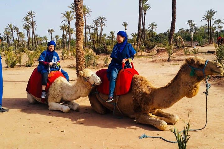 Camel Ride in Marrakech Palmeraie: 1-Hour Camel Trek & Berber Tea Experience photo 5
