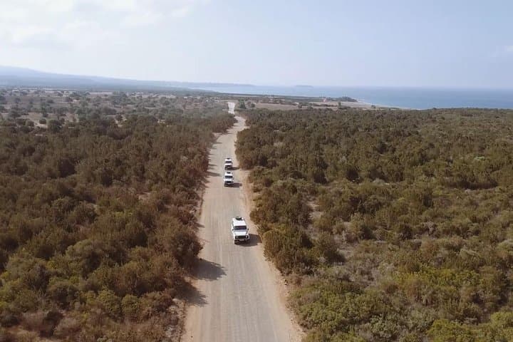 Half-Day Akamas 4x4 Safari: Avakas Gorge & Lara Bay Turtle Visit