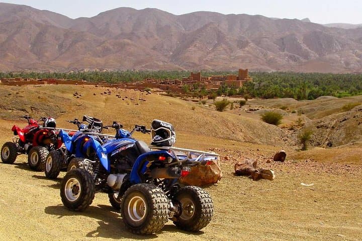 Quad Biking in Marrakech Palm Grove — Half-Day Desert Adventure photo 6