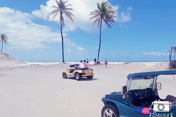 Mangue Seco Dunes and Beach: Full-Day Adventure from Salvador photo 5