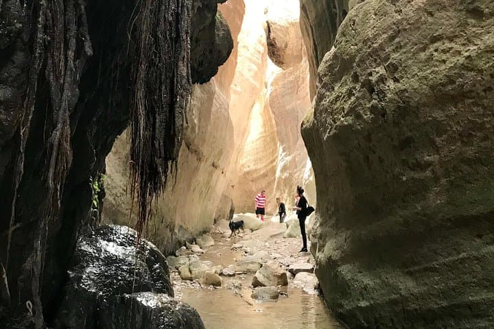 Half-Day Akamas 4x4 Safari: Avakas Gorge & Lara Bay Turtle Visit photo 3
