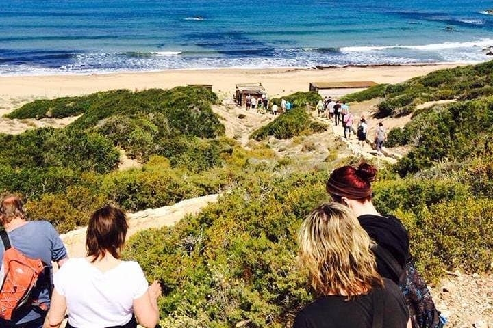 Half-Day Akamas 4x4 Safari: Avakas Gorge & Lara Bay Turtle Visit photo 4