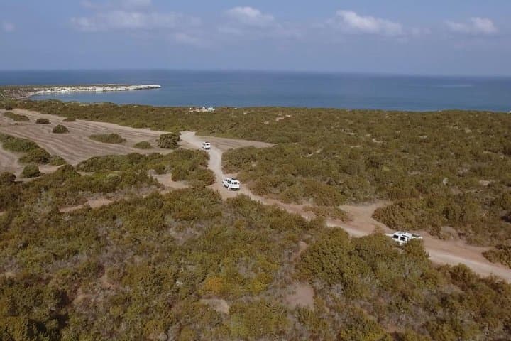 Half-Day Akamas 4x4 Safari: Avakas Gorge & Lara Bay Turtle Visit photo 6