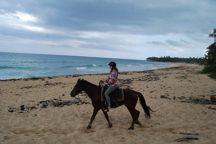 Punta Cana Beach Horseback Riding — 2-Hour Coastal Trail Ride in the Dominican Republic