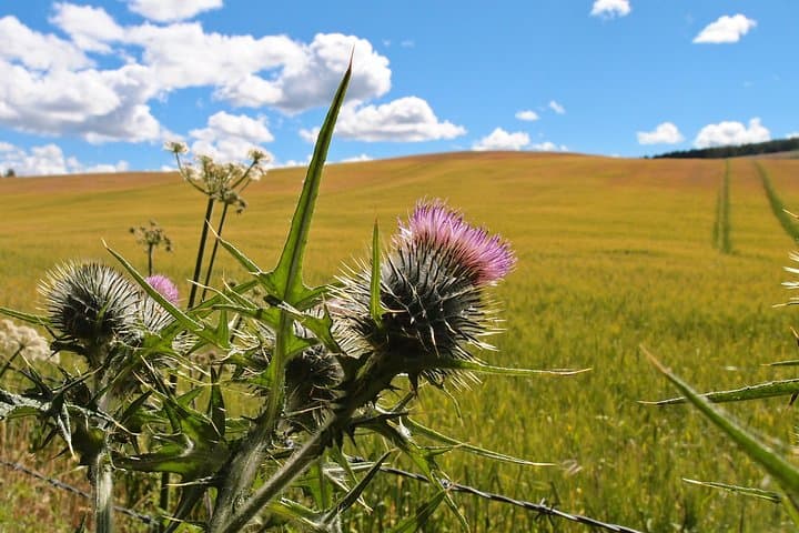 Cycle to Loch Ness — Self-Guided Day Ride from Inverness photo 6