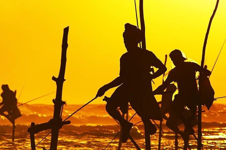 Private Family Galle Day Tour: Fort, Madu River & Turtle Hatchery