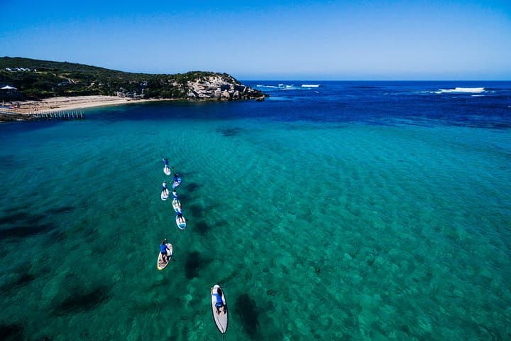 Stand Up Paddle Boarding in Gnarabup Bay — Margaret River SUP Lesson