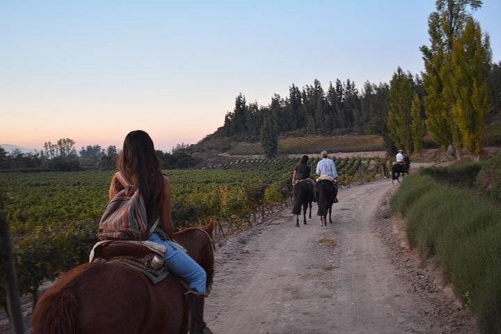 Horseback Wine Tour from Santiago — Ride Maipo Valley Vineyards & Country Grill
