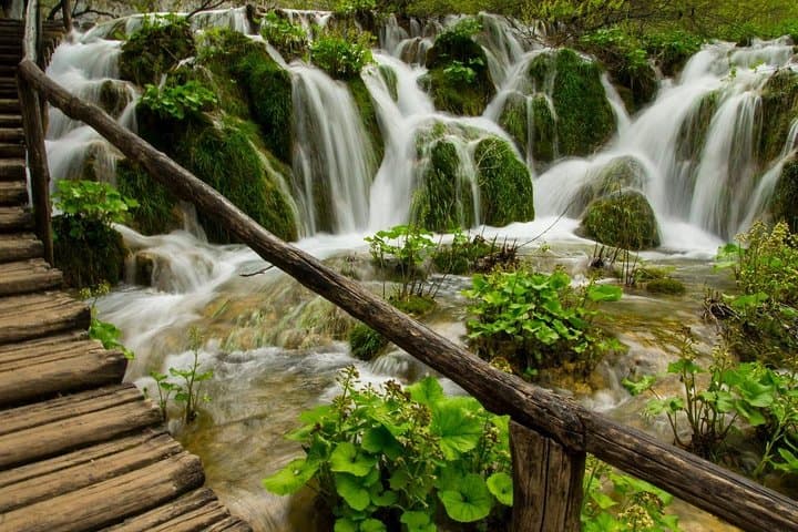 Dubrovnik to Plitvice Day Trip — Full-Day Visit to Plitvička Jezera National Park photo 2