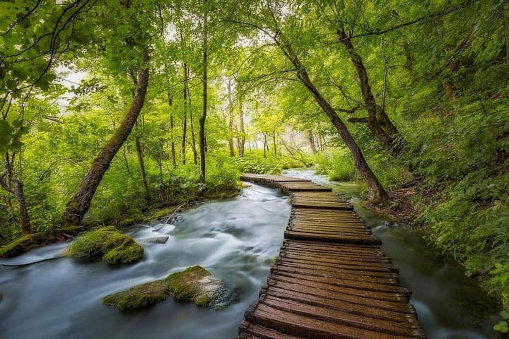 Dubrovnik to Plitvice Day Trip — Full-Day Visit to Plitvička Jezera National Park photo 6