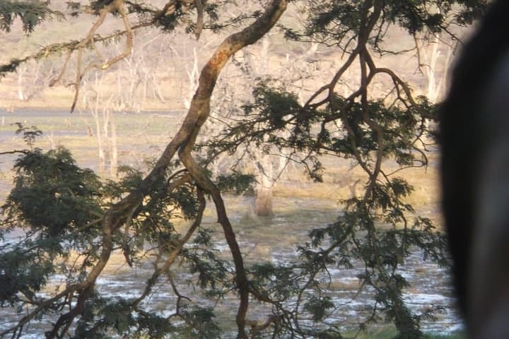 Jhalana Leopard Jeep Safari and Overnight Jaipur Hotel Package photo 3