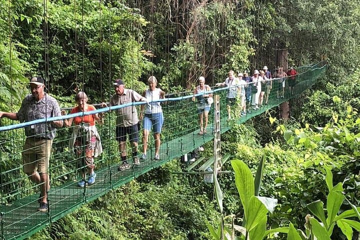 Rainforest Skywalk & Tarcoles River Cruise — Puntarenas Shore Excursion photo 3