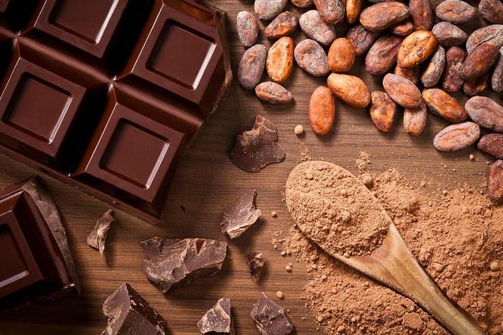 Exploring Tirimbina Reserve: A Private Chocolate Adventure from San Jose photo 5