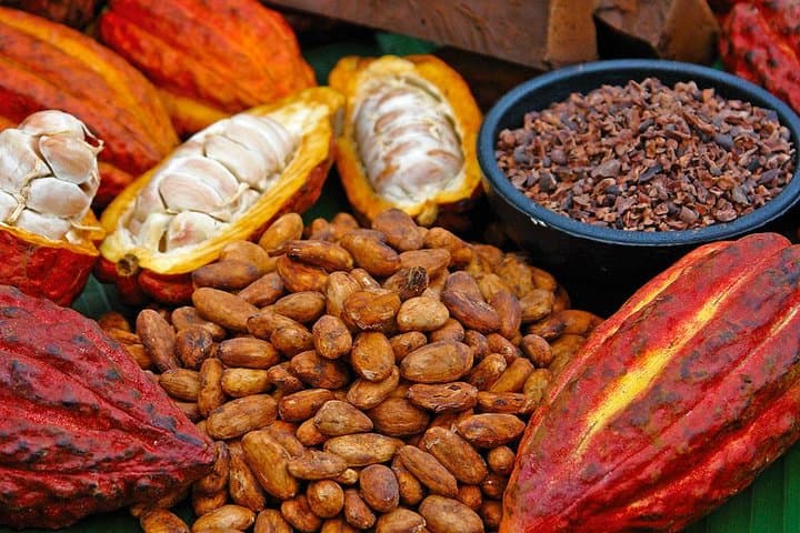 Exploring Tirimbina Reserve: A Private Chocolate Adventure from San Jose photo 2
