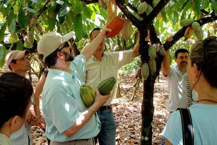 Exploring Tirimbina Reserve: A Private Chocolate Adventure from San Jose photo 3