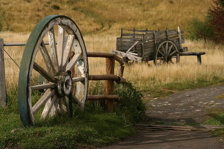 Nibepo Aike Ranch: Patagonian Estancia Day Tour from El Calafate photo 4