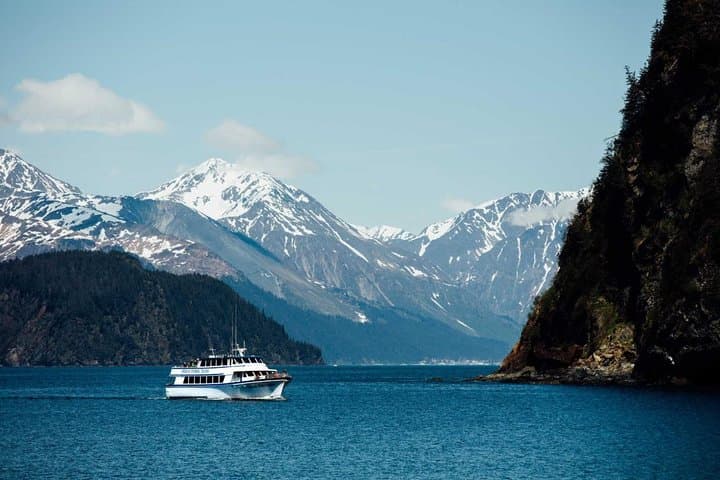 Spring Gray Whale Watching in Resurrection Bay: Half-Day Wildlife Cruise from Seward photo 5
