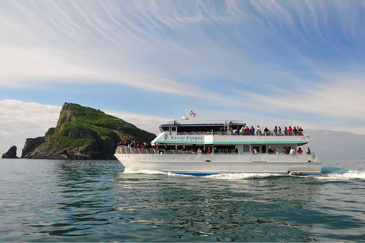 Spring Gray Whale Watching in Resurrection Bay: Half-Day Wildlife Cruise from Seward photo 2