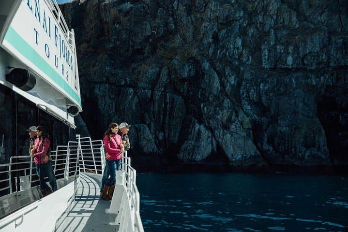 Spring Gray Whale Watching in Resurrection Bay: Half-Day Wildlife Cruise from Seward photo 6