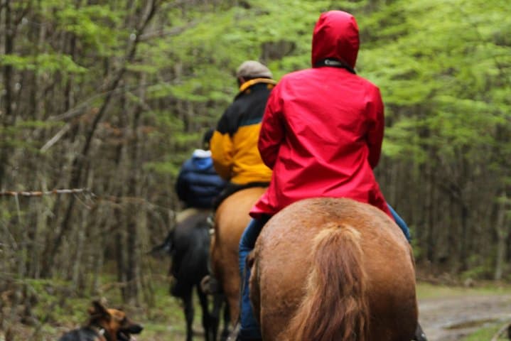 Horseback Riding to Lago Escondido — Half-Day Sunset Ride from Ushuaia photo 3