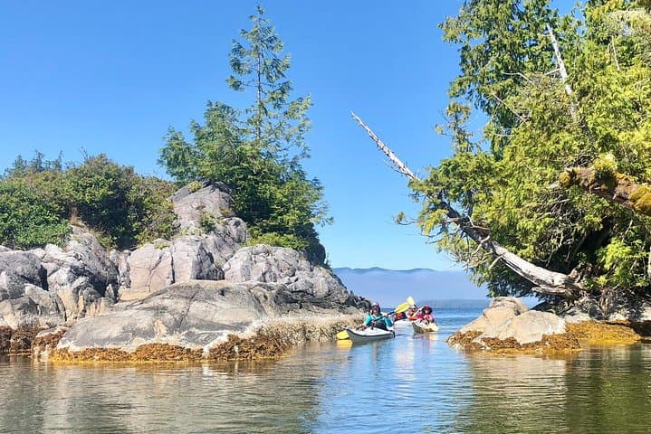 4-Day Broken Group Islands Kayaking Expedition — Barkley Sound Sea Kayak & Island Camping photo 4
