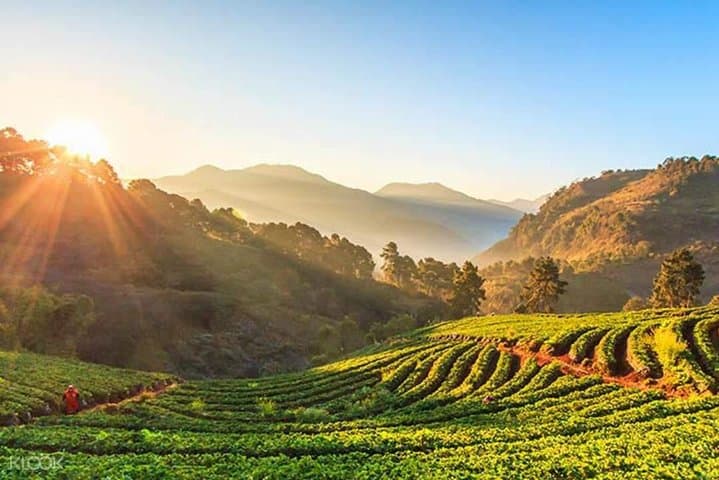 Doi Inthanon Discovery: Waterfalls, Twin Pagodas & Hill‑Tribe Villages photo 2