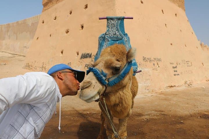 Sunset Camel Ride on Agadir Beach — Evening Dromedary Experience photo 5