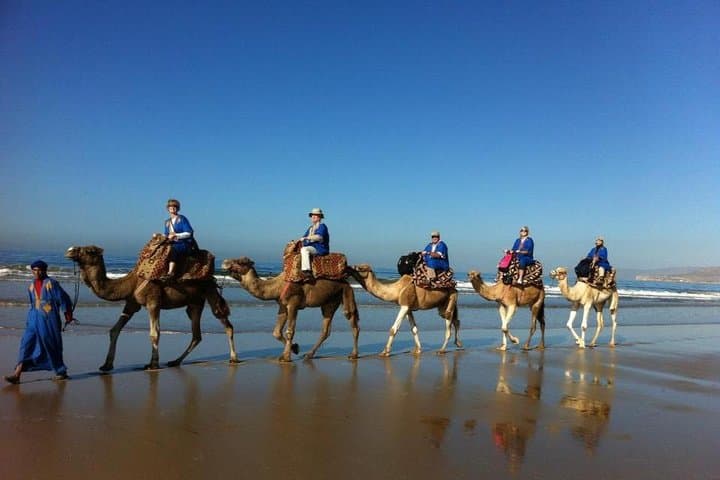 Sunset Camel Ride on Agadir Beach — Evening Dromedary Experience photo 3