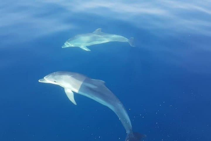 Blue Cave and Hvar Day Cruise from Trogir — Blue Cave, Komiža & Stiniva photo 2