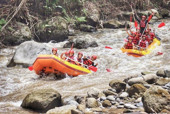 Ubud Ayung River White-Water Rafting: 2-Hour Adventure with Private Transfer & Lunch photo 6