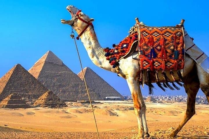 Full-Day Private Tour: Giza Pyramids & National Museum of Egyptian Civilization photo 3
