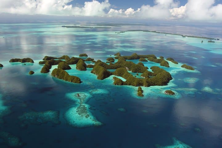 Rock Islands & Jellyfish Lake Tour: Snorkel Palau's Milky Way and Shark City
