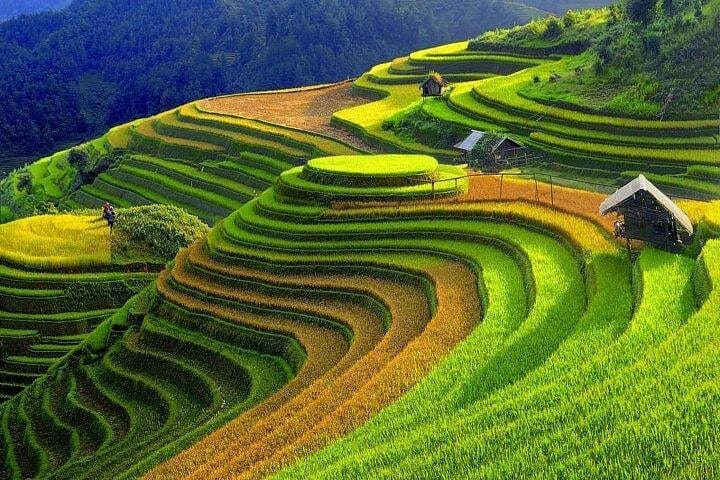 Sapa 2-Day Trek from Hanoi: Cat Cat, Muong Hoa & Ethnic Villages photo 4