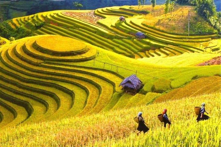 Sapa 2-Day Trek from Hanoi: Cat Cat, Muong Hoa & Ethnic Villages photo 1