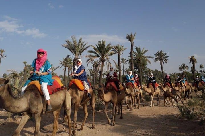 Marrakech Quad Biking and Camel Ride — Palmeraie Dromedary & Quad Adventure