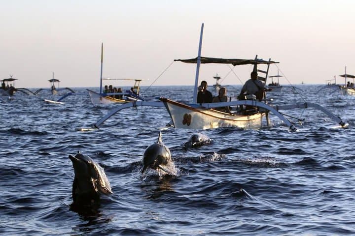 Lovina Dolphin Tour & Sunrise Boat Trip — Bali Early Morning Adventure photo 3
