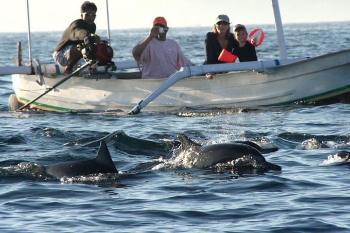 Lovina Dolphin Tour & Sunrise Boat Trip — Bali Early Morning Adventure photo 2