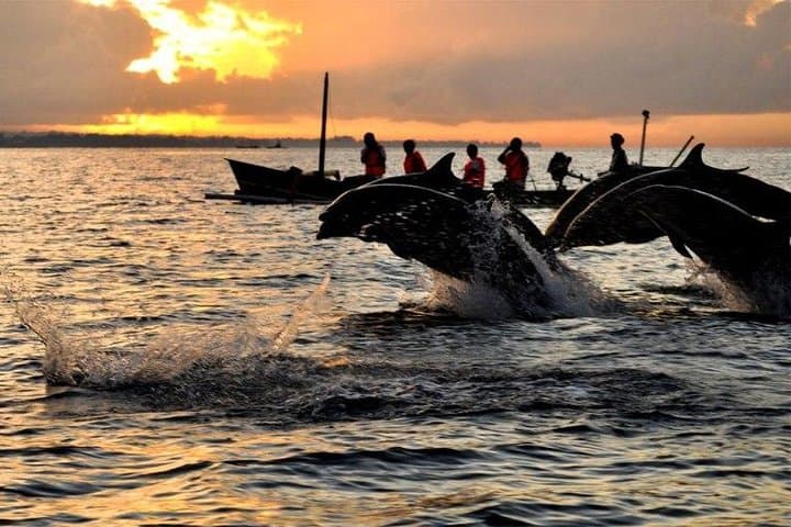 Lovina Dolphin Tour & Sunrise Boat Trip — Bali Early Morning Adventure photo 4