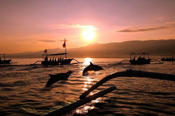 Experience Sunrise and Dolphins at Lovina Beach photo 6