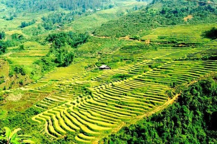 Overnight Sapa Trek: 2-Day Trekking Tour by Bus from Hanoi photo 6