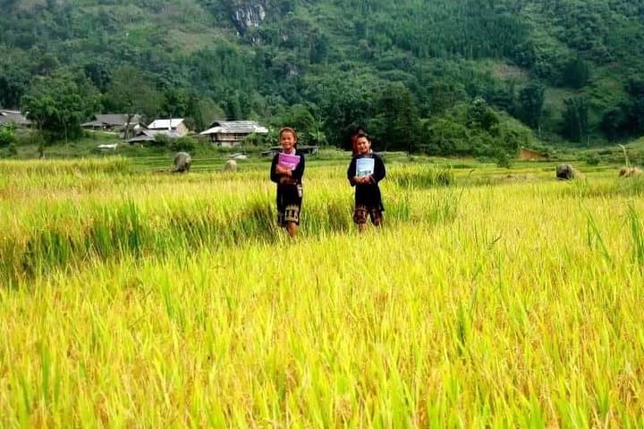 Overnight Sapa Trek: 2-Day Trekking Tour by Bus from Hanoi photo 3