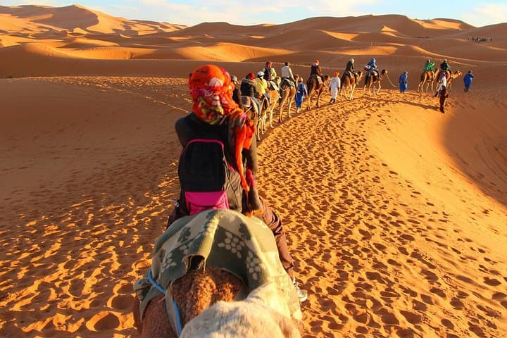 3-Day Merzouga Erg Chebbi Desert Tour from Marrakech — Camel Trek & Sahara Camp photo 1