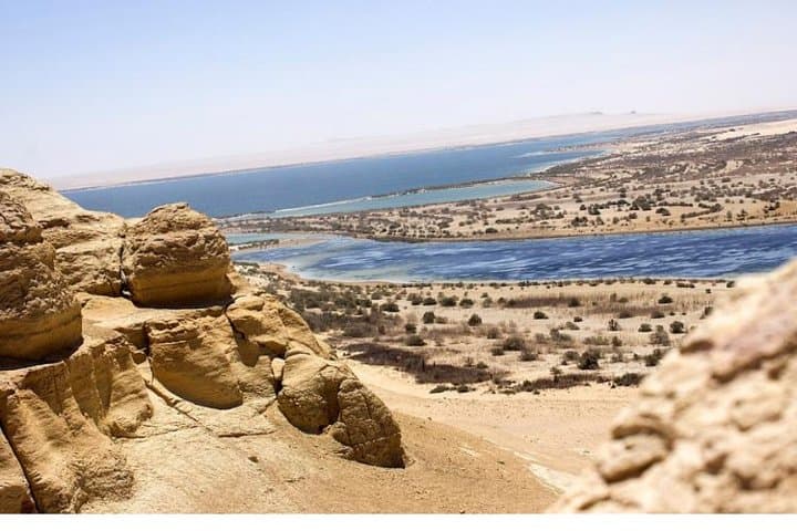 Full-Day Wadi El Rayan & Wadi Al-Hitan (Whale Valley) Jeep Tour from Cairo photo 2