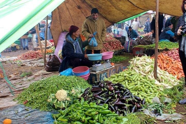 Atlas to Agafay: Day Trip with Berber Lunch, Waterfall Hike & Sunset Camels photo 2
