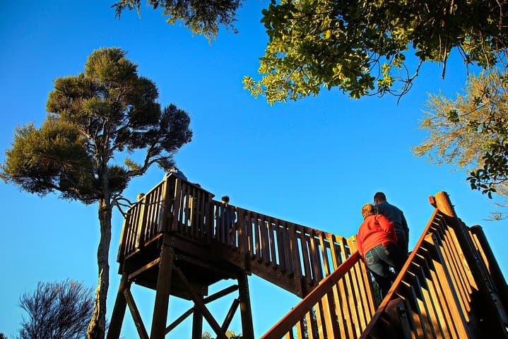 Exploring Marlborough Sounds: Motuara Wildlife Sanctuary and Dolphin Cruise Experience photo 3