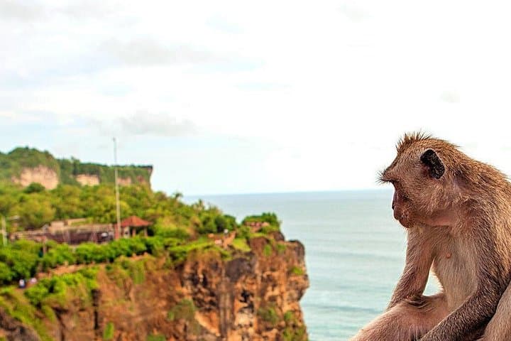 South Bali Full-Day: Tanjung Benoa Watersports, Uluwatu Sunset & Jimbaran BBQ photo 4