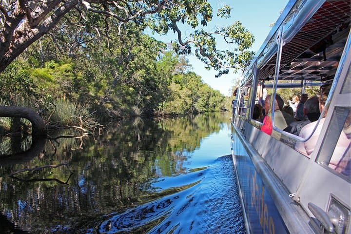 Noosa Everglades Afternoon Serenity Cruise with Sparkling Wine photo 2