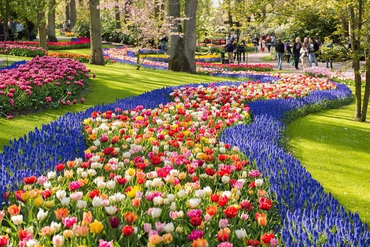 Keukenhof Gardens Day Trip from Amsterdam — Guided Tulip Park Visit photo 1